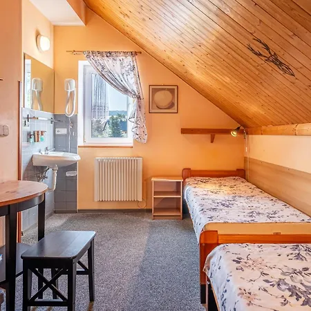 U Zpevaku Guest house *