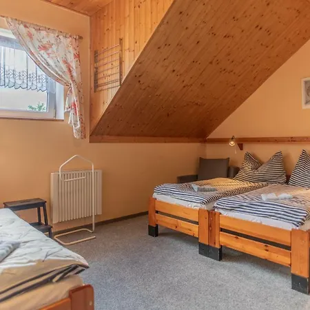 U Zpevaku Guest house *