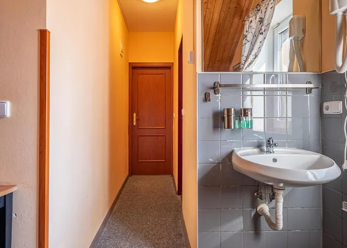 Guest house U Zpevaku