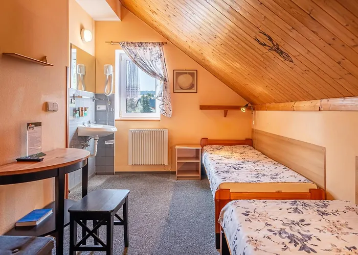 U Zpevaku Guest house 3*