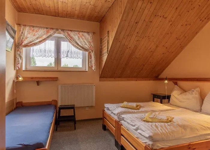 U Zpevaku Guest house Nove Hute