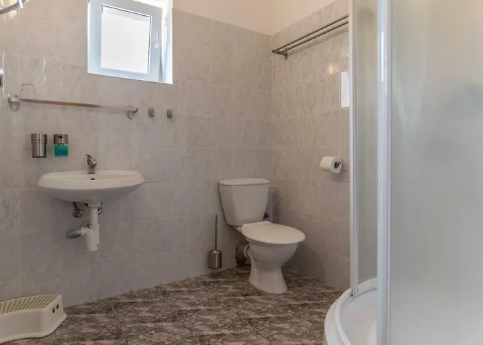U Zpevaku Guest house