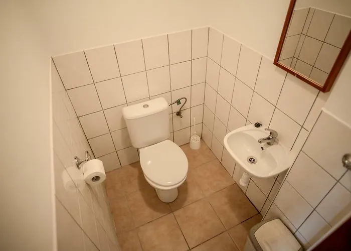 U Zpevaku Guest house