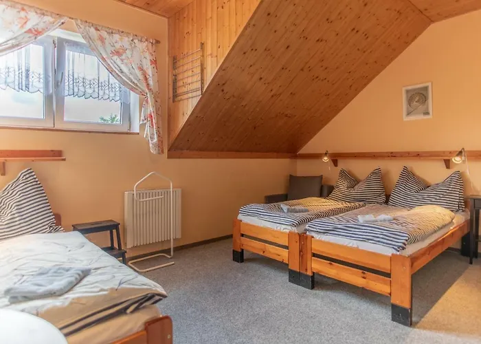 U Zpevaku Guest house 3*